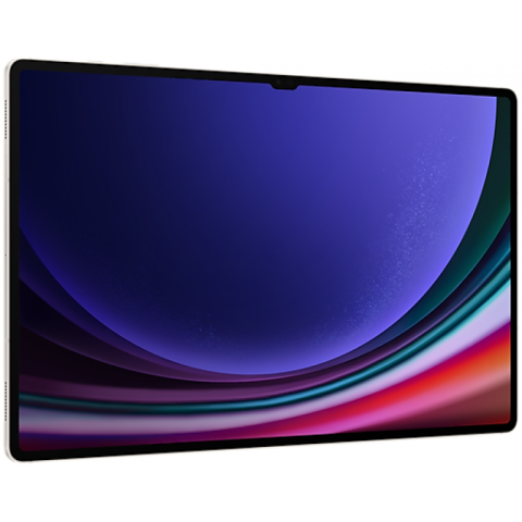 Samsung Galaxy Tab S9 Ultra 12/256GB Beige